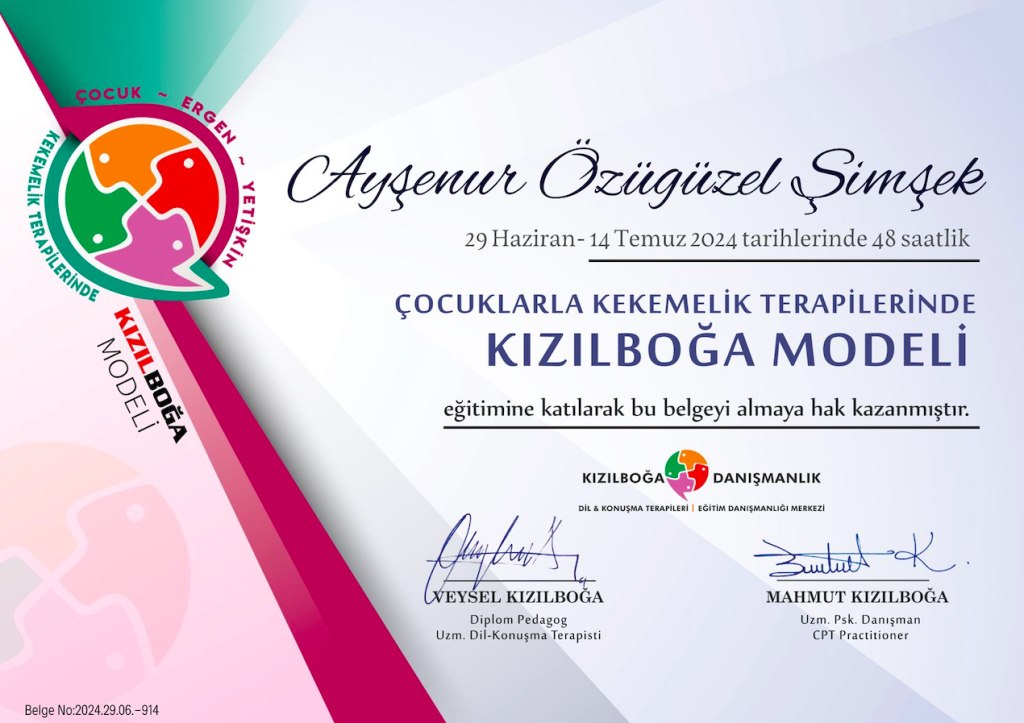 Sertifika 2