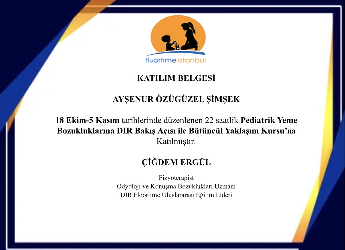 Sertifika 6